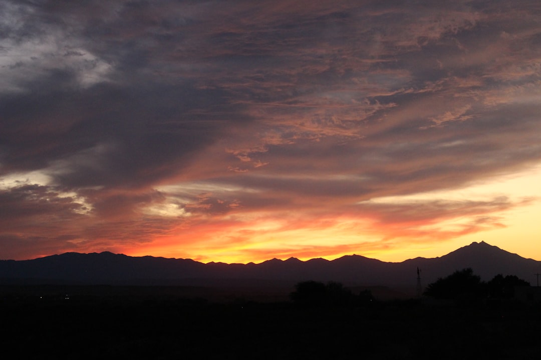Nutrioso AZ Passport Guide: First-Time, Renewals, Locations