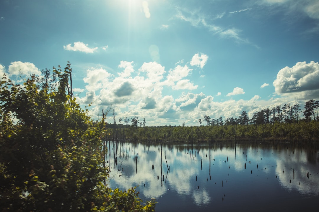 Obtaining a Passport in Eutawville SC: Facilities & Steps