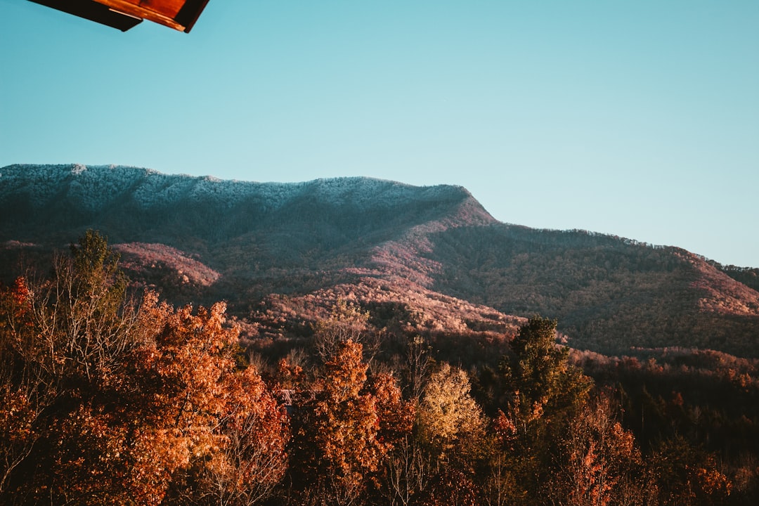 Obtaining a Passport in La Vergne, TN: Step-by-Step Guide