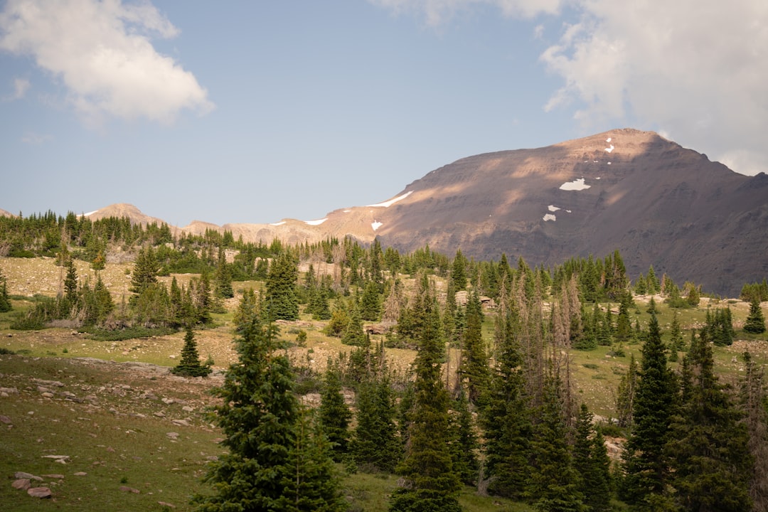 Obtaining a Passport in West Jordan UT: Steps & Facilities