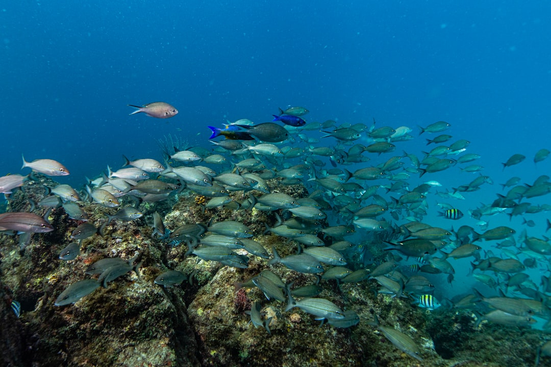 Obtaining a Passport in Weston, FL: Step-by-Step Guide