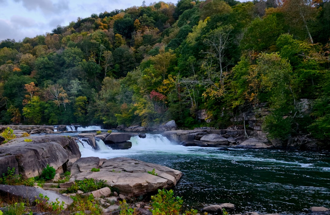 Obtaining Passport in Spelter, WV: Steps & Local Facilities
