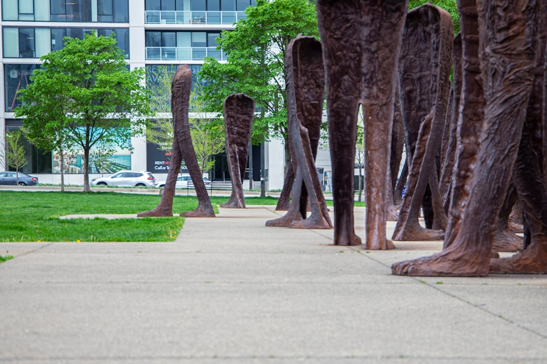 Olive Branch IL Passport Guide: Apply, Renew, Facilities