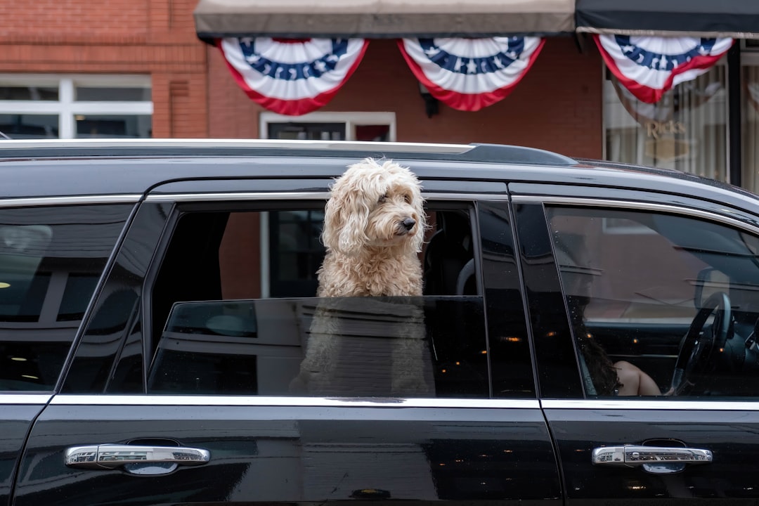 Paducah TX Passport Guide: Apply, Renew, Local Facilities