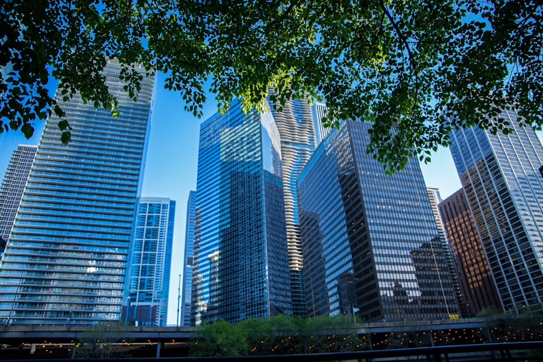 Palos Park IL Passport Guide: New Apps, Renewals, Local Facilities