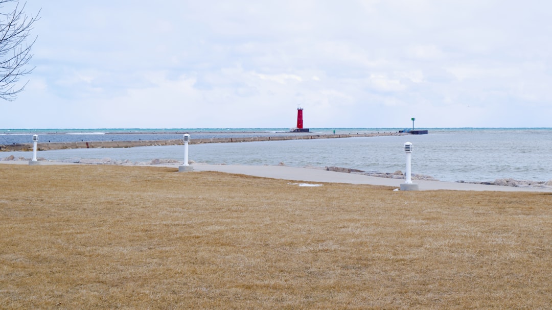 Parkdale MI Passport Guide: Apply, Renew, Facilities Near You