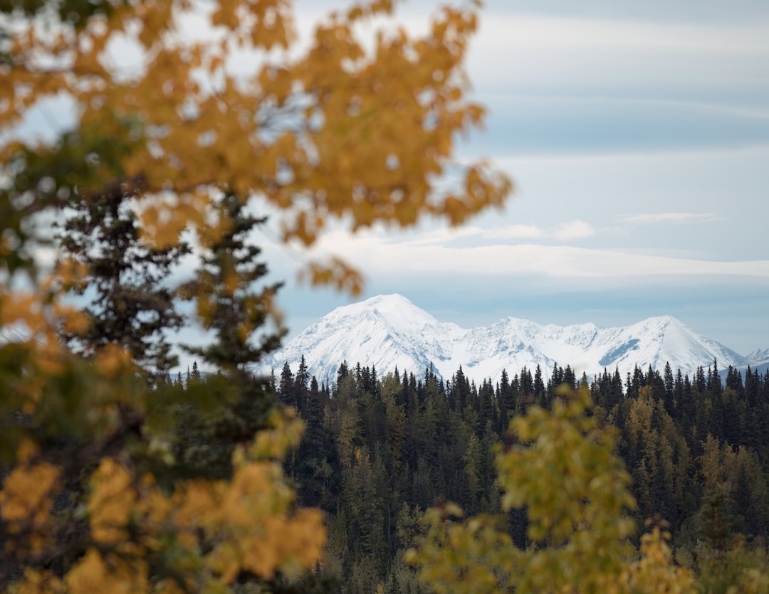 Passport Application & Renewal Guide for Port Alexander, AK