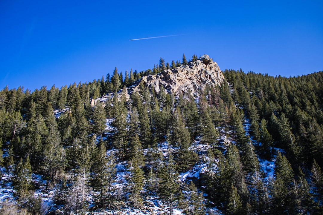 Passport Application Guide for Blue Sky, CO: Forms, Steps, Local Tips