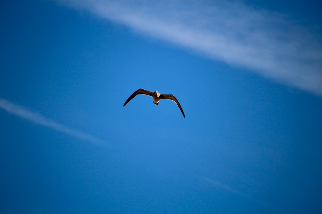 Passport Application Guide for Delaware City, DE Residents