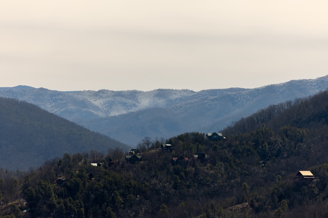 Passport Application Guide for Flat Top Mountain, TN Residents