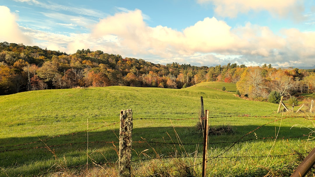 Passport Application Guide for Yadkinville, NC Residents