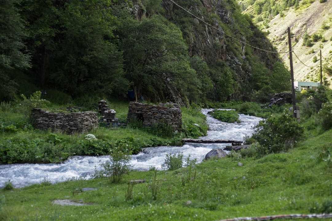 Passport Application Guide: Morven GA Facilities, Steps & Requirements