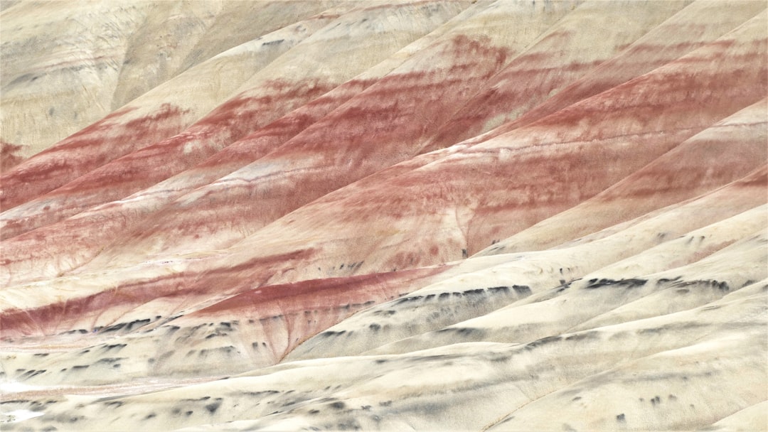 Passport Application in Turner, OR: Steps, Facilities, Requirements