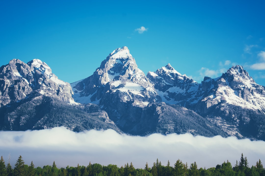Passport Guide: Apply & Renew in Alpine Northeast, WY