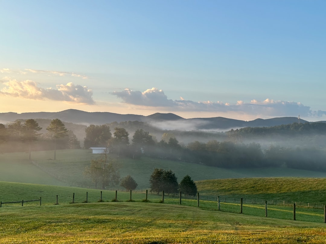 Passport Guide: Apply, Renew in Buckingham Courthouse, VA