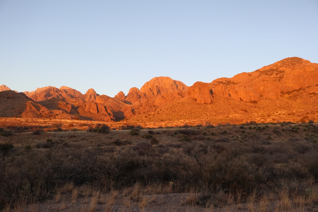 Passport Guide Bernalillo NM: Facilities, Steps, Forms & Fees