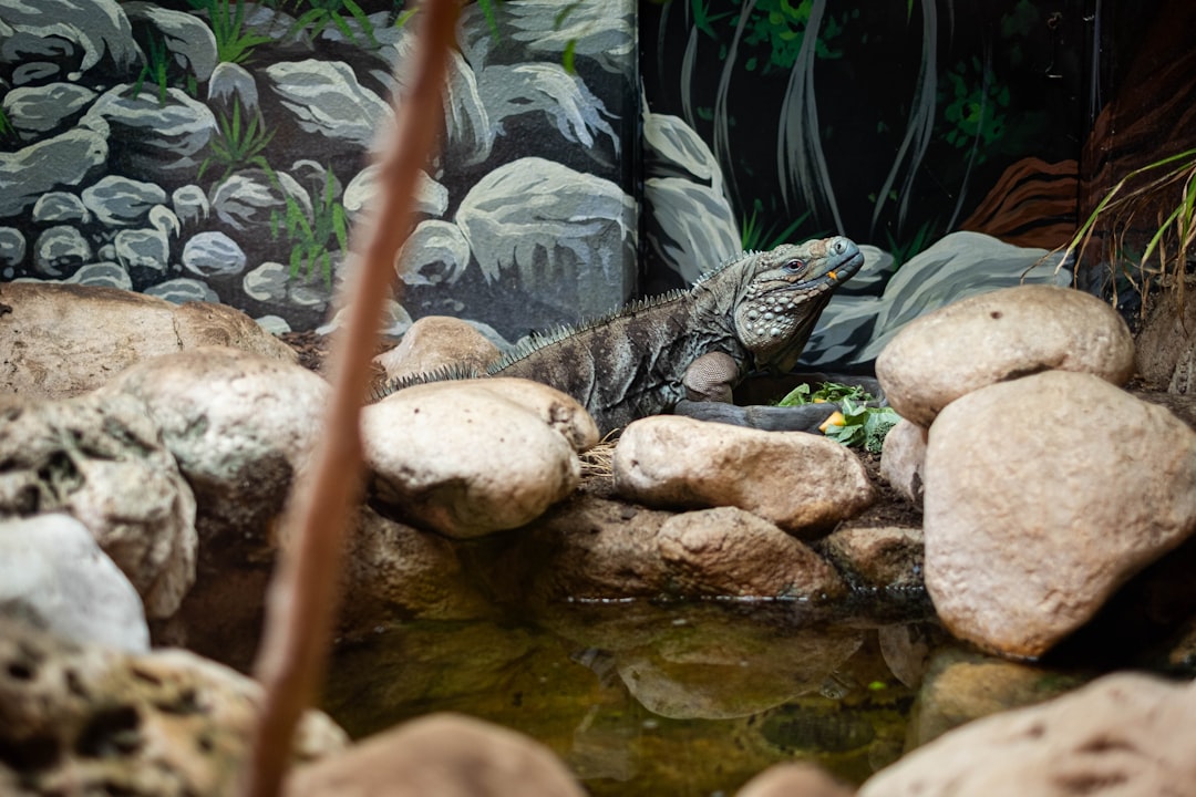 Passport Guide: Bruceville-Eddy, TX Facilities & Application Steps