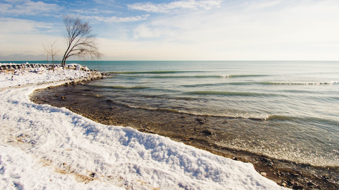 Passport Guide East Tawas MI: Local Facilities & Steps
