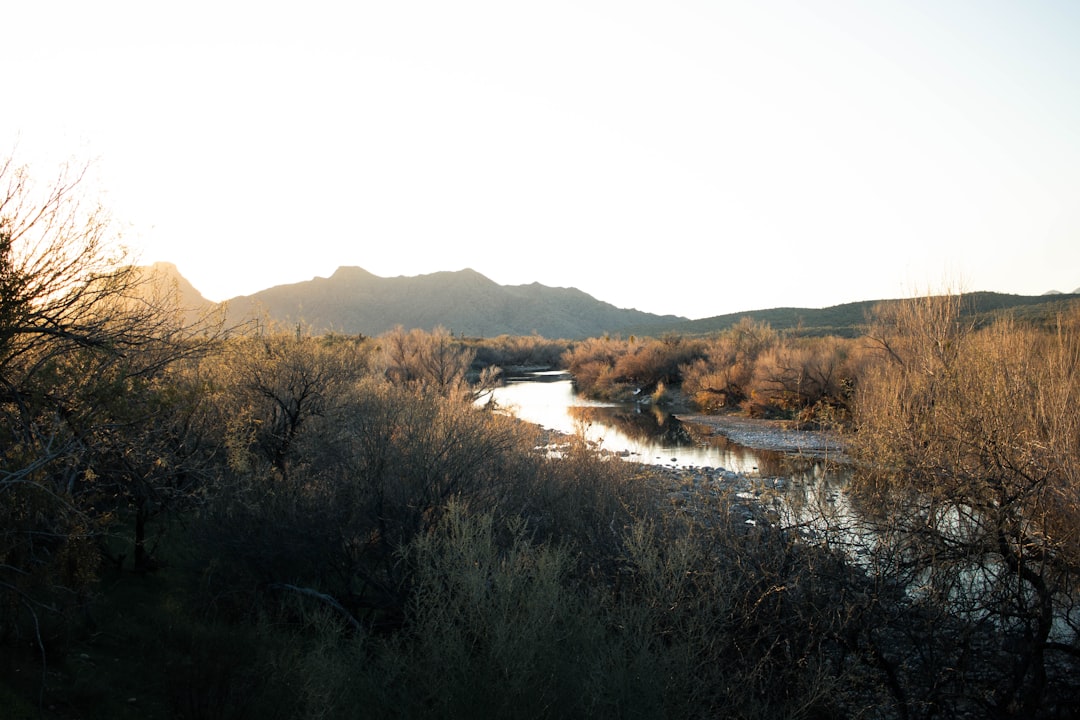 Passport Guide: East Verde Estates AZ Steps & Facilities