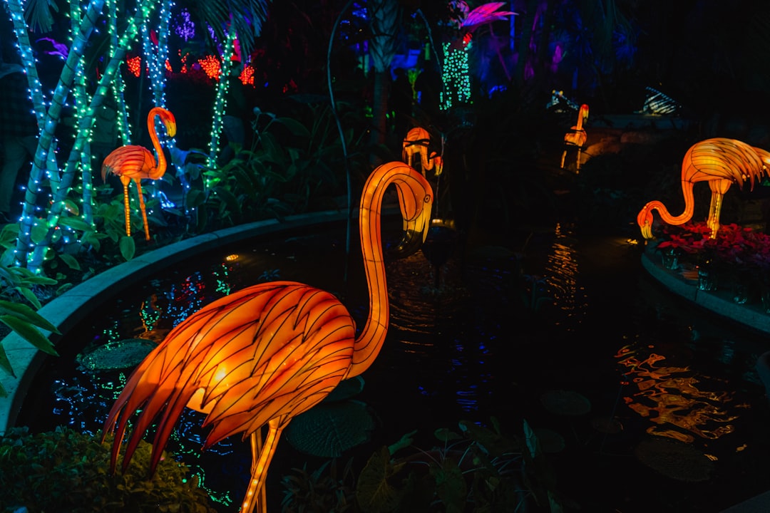 Passport Guide Emerson NE: Apply Renew Replace Steps