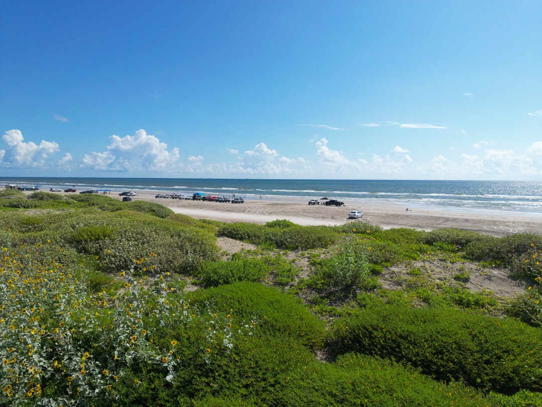 Passport Guide: Encantada-Ranchito-El Calaboz, TX Steps