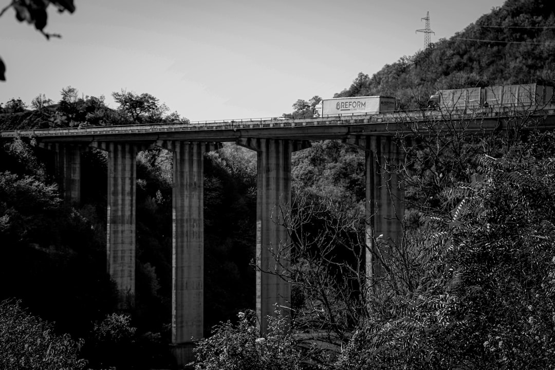 Passport Guide Fairview GA: Apply Renew Local Facilities