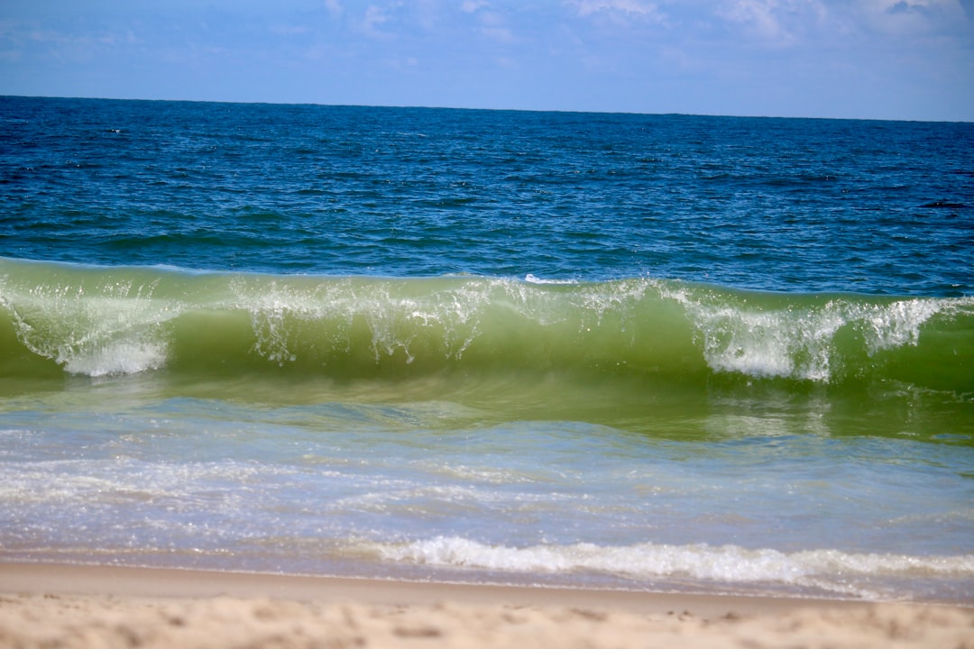 Passport Guide Fenwick Island DE: Facilities Fees Times