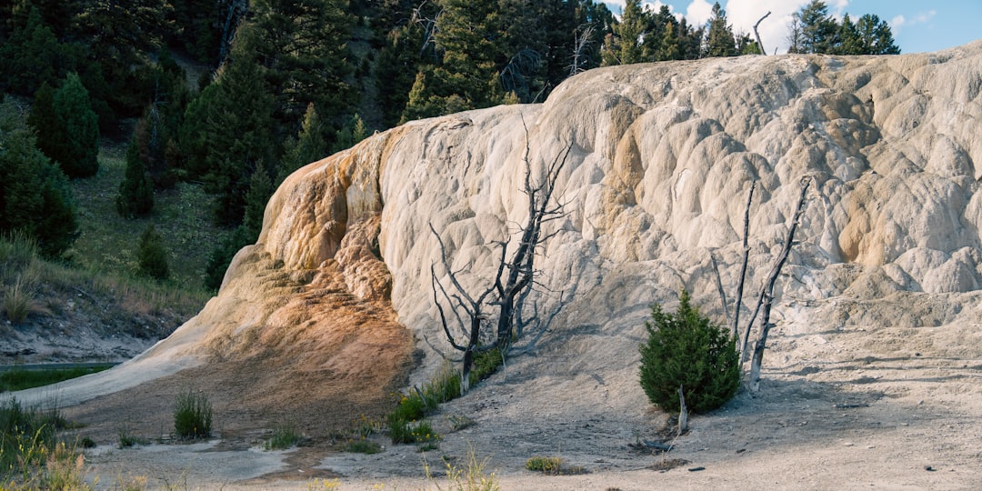 Passport Guide for Alta WY: Steps Facilities Documents