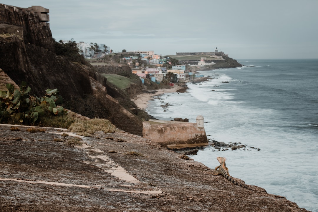 Passport Guide for Bartolo, Río Grande, PR: Apply, Renew, Replace