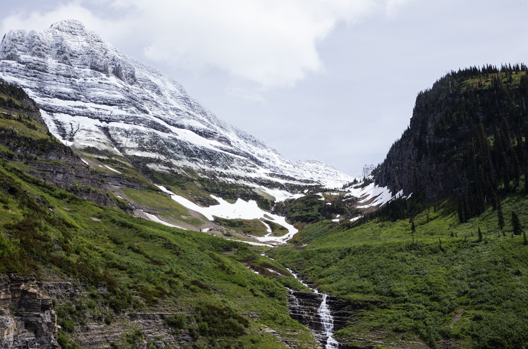 Passport Guide for Bear Dance, MT: Apply, Renew, Locations