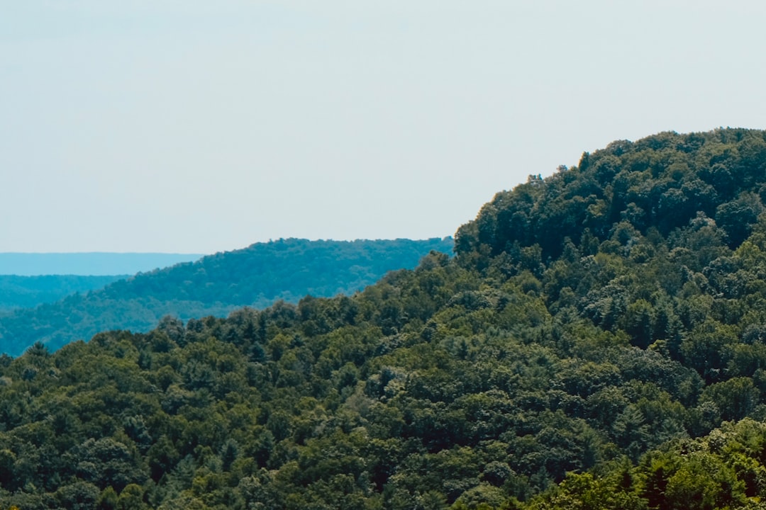 Passport Guide for Bergoo WV: Steps, Facilities, Mistakes