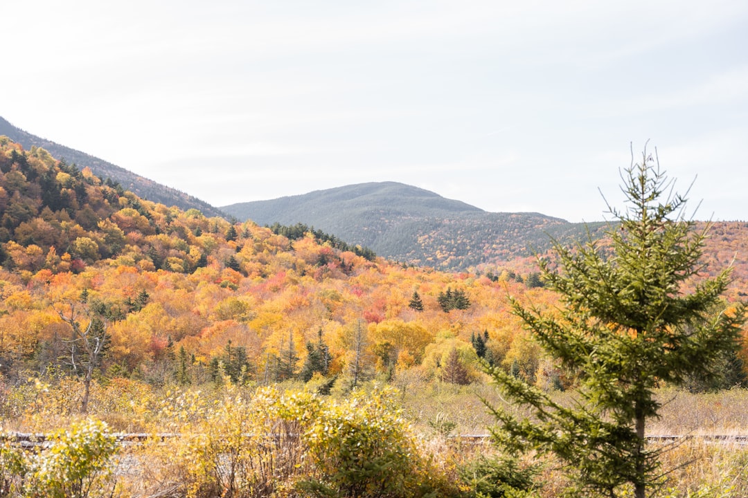 Passport Guide for Berlin, NH: Facilities, Docs & Processing