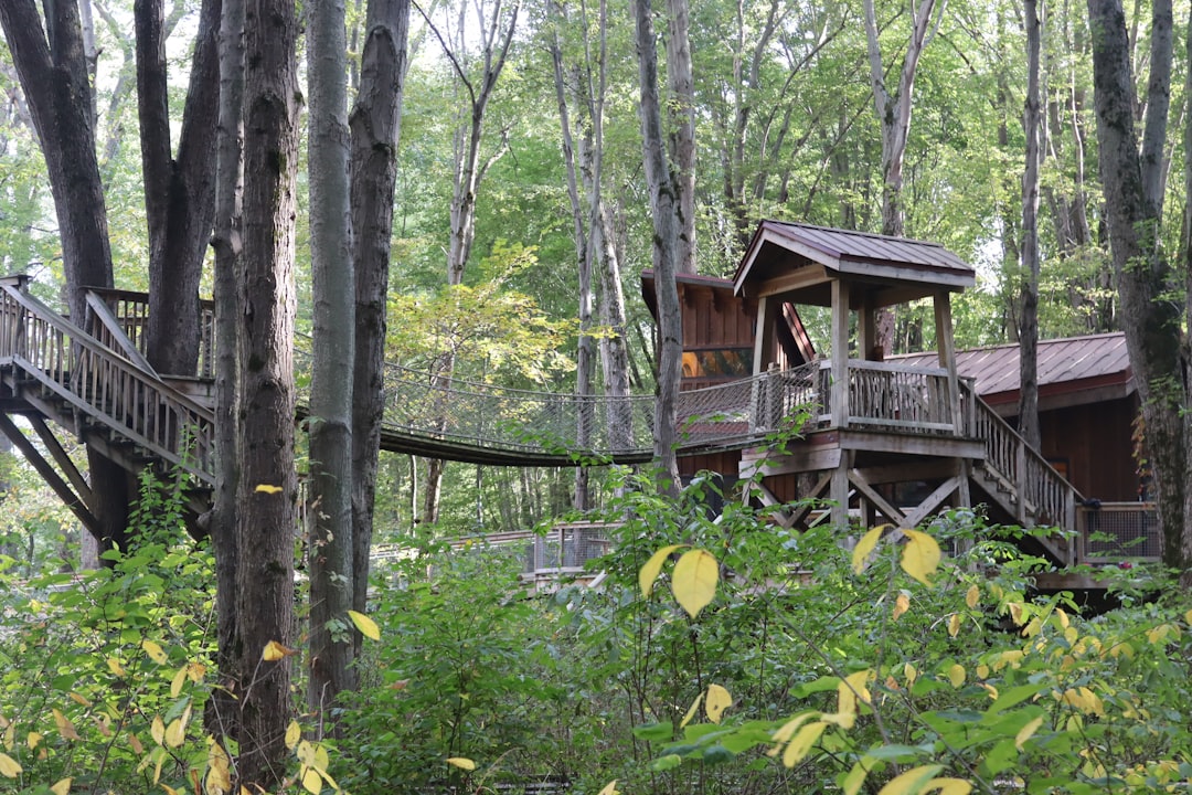 Passport Guide for Blue Jay, OH: Applications, Facilities, Tips