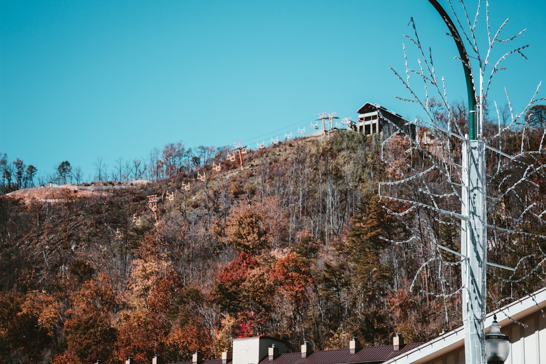 Passport Guide for Bon Aqua Junction, TN Residents: Forms & Facilities