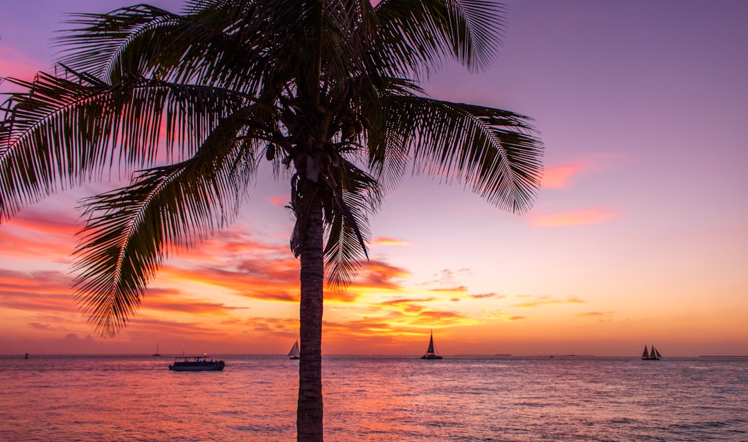 Passport Guide for Brownsdale, FL: Local Steps & Facilities