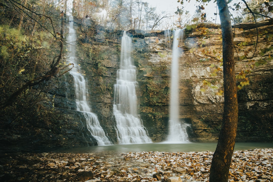 Passport Guide for Burdette AR: Steps, Facilities, Documents