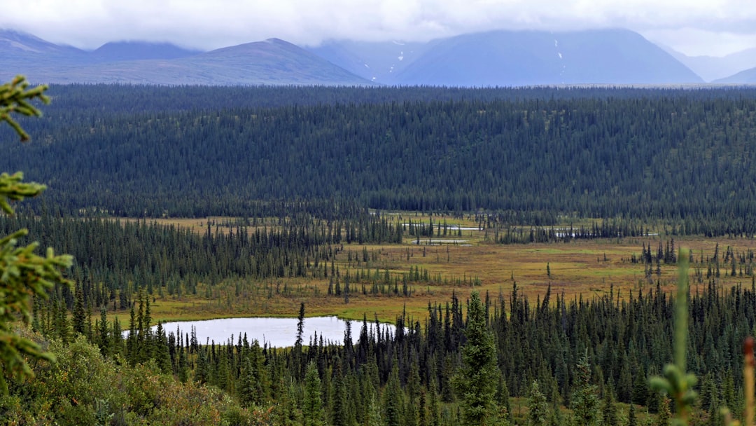 Passport Guide for Chalkyitsik AK: Steps to Fairbanks Facilities