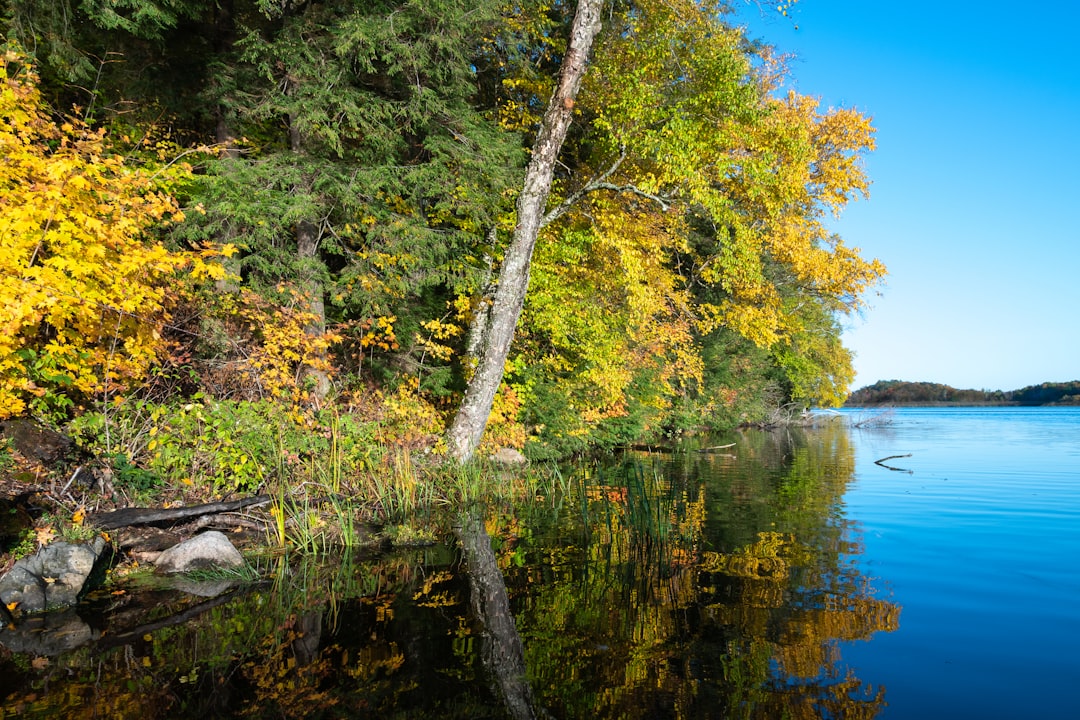 Passport Guide for Chili, WI: First-Time, Renewals & Local Facilities
