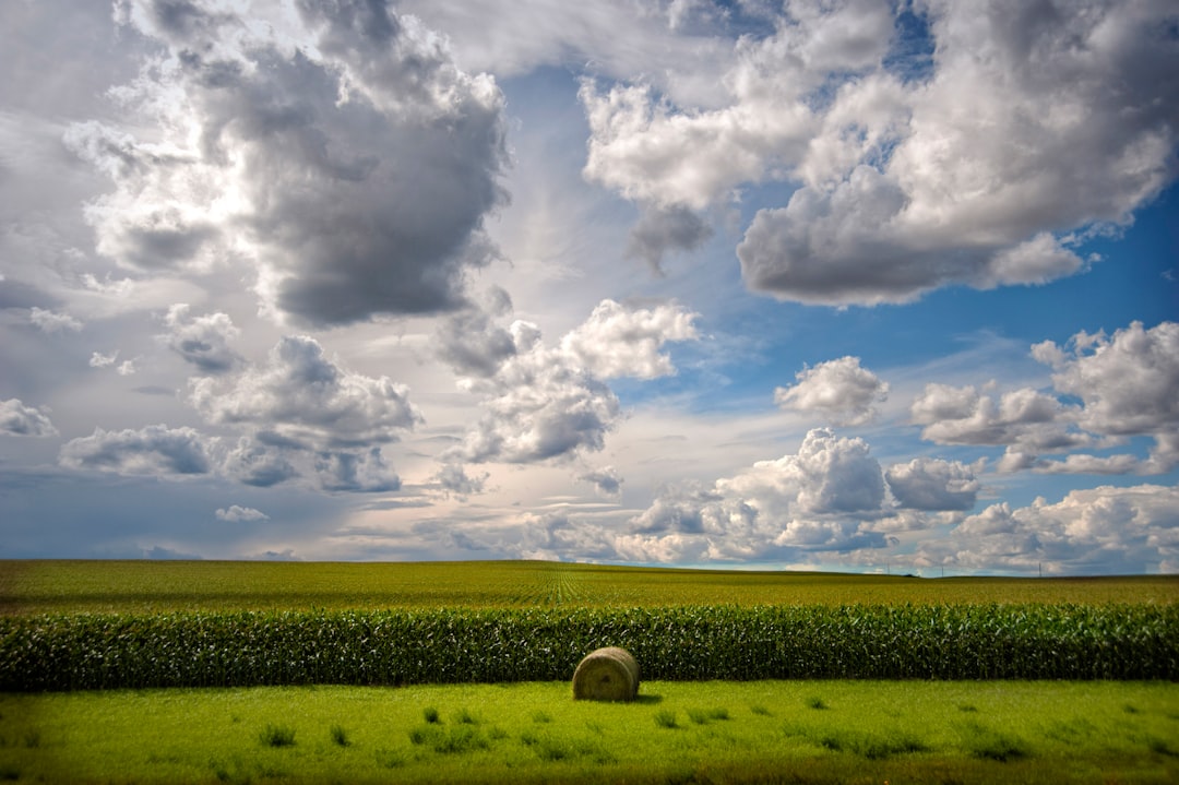 Passport Guide for Coleharbor ND: Facilities, Steps & Checklists