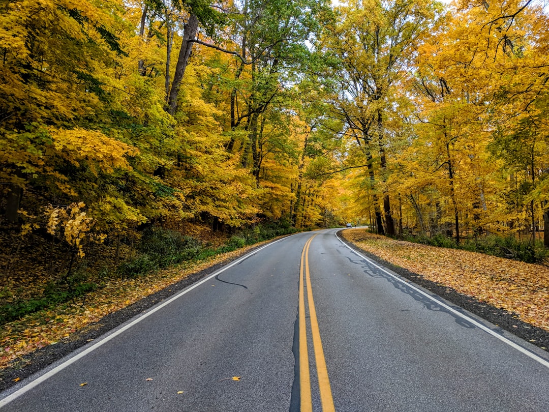 Passport Guide for Cumberland, OH: Apply, Renew, Local Facilities