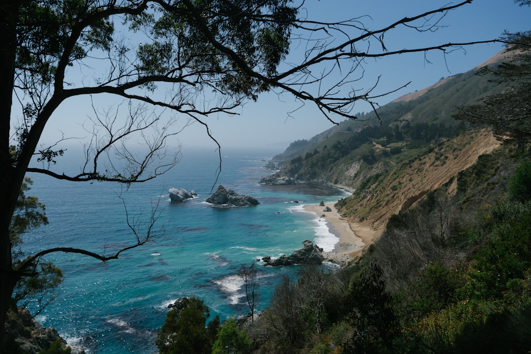 Passport Guide for Del Monte Forest, CA: Applications, Renewals