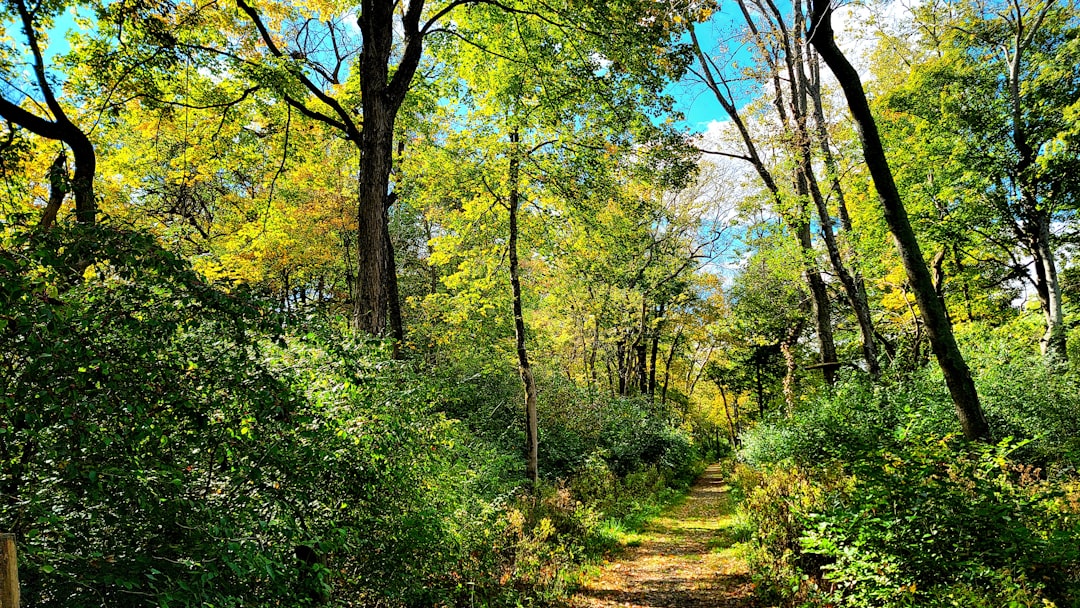 Passport Guide for Devola, OH: Steps, Facilities, Tips