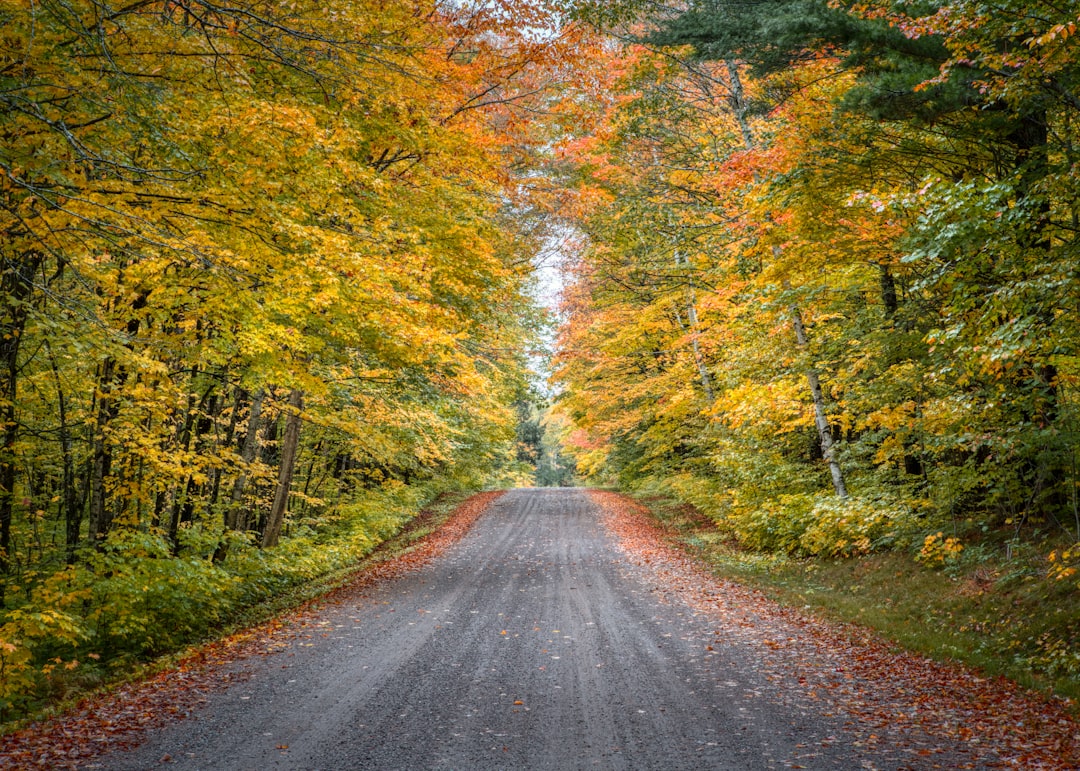 Passport Guide for Downsville WI: Facilities, Forms & Steps