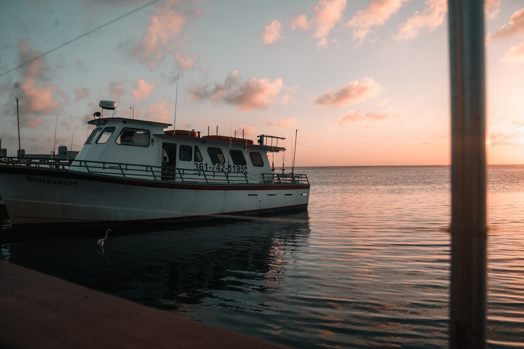 Passport Guide for Ector, TX: Bonham Facilities & Steps