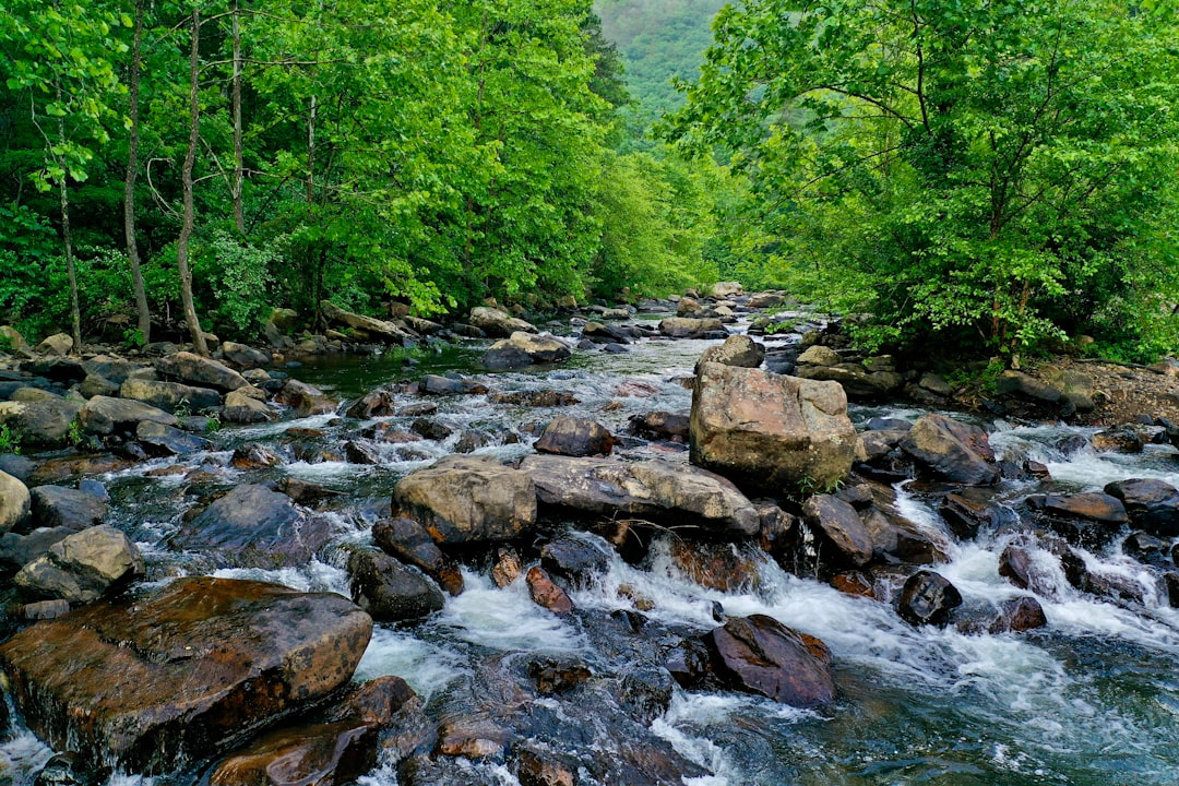 Passport Guide for Esmont VA: Facilities, Forms, Steps