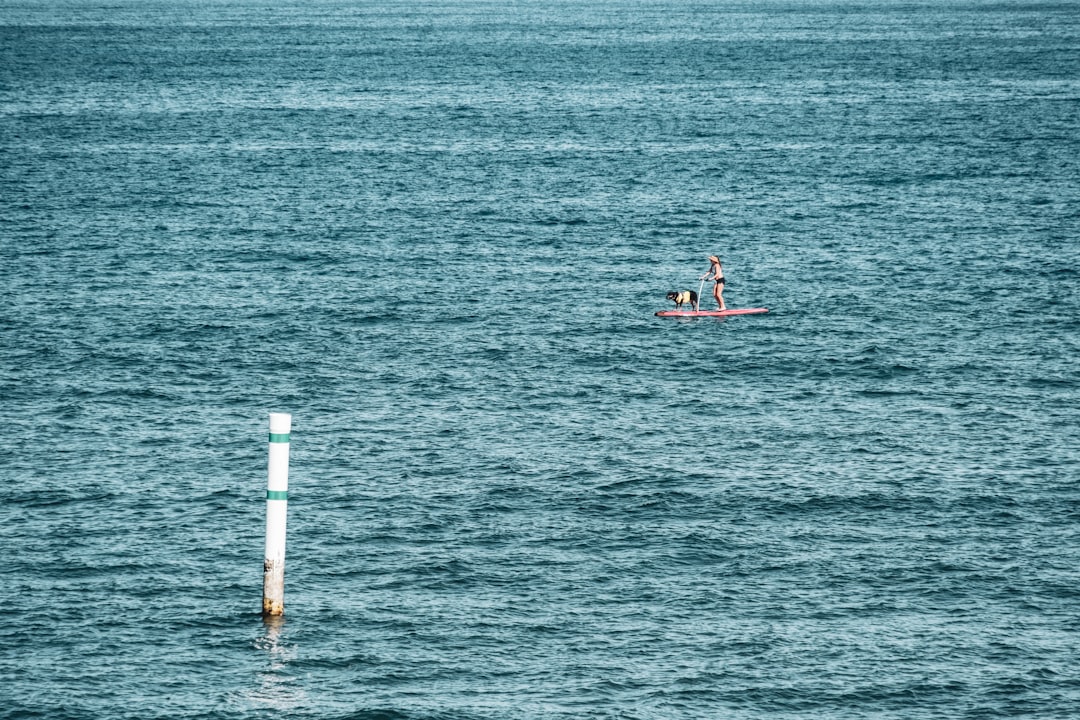 Passport Guide for Fern Forest HI: Facilities Forms Steps