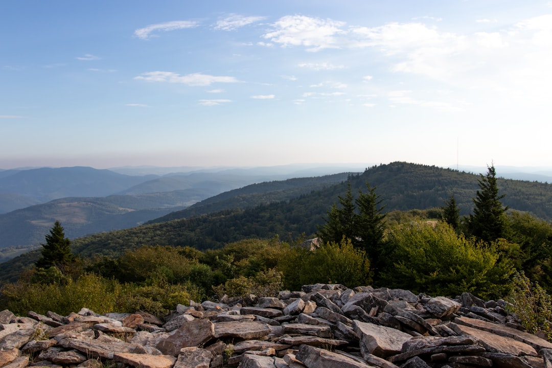 Passport Guide for Frank, WV: Steps, Facilities & Documents