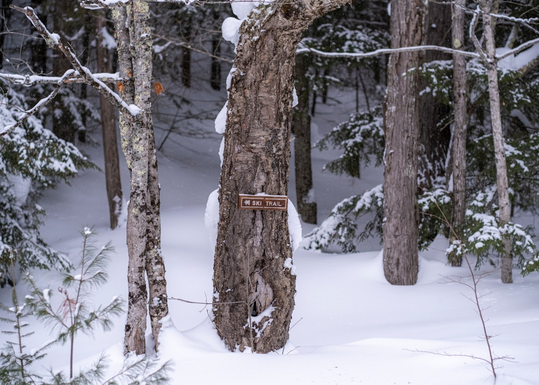 Passport Guide for Gibraltar, MI: Apply, Renew, Facilities