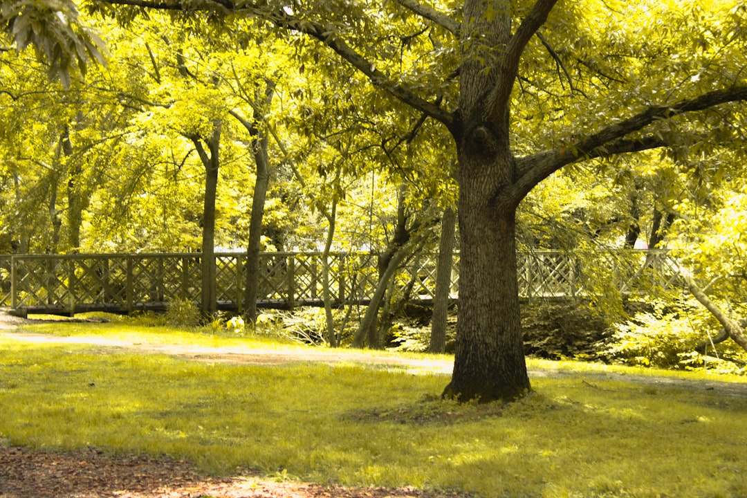 Passport Guide for Goldston, NC: Chatham Facilities & Steps