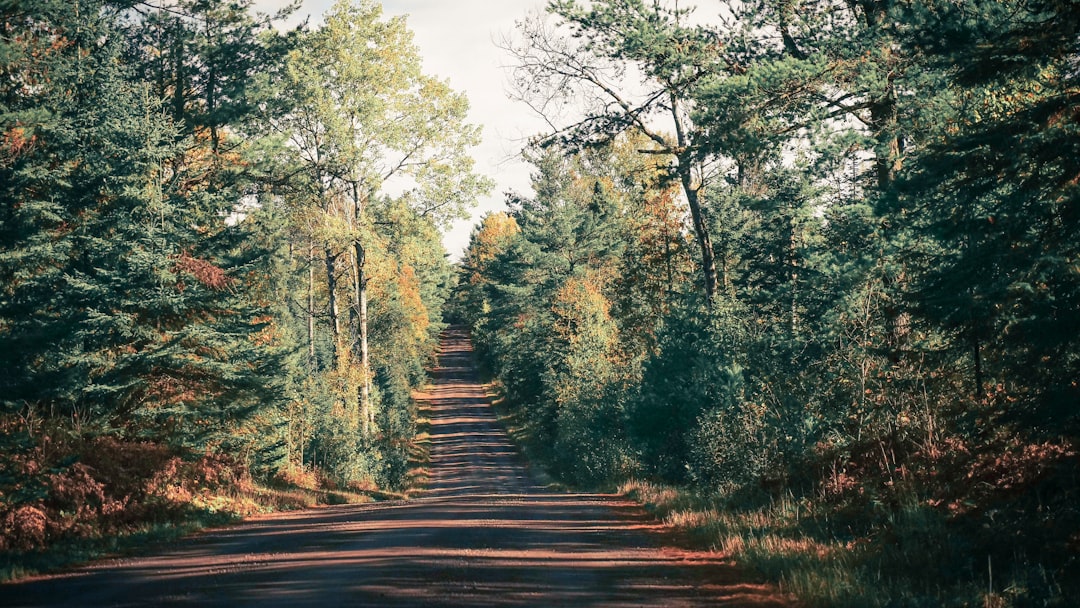 Passport Guide for Green Isle MN: Facilities, DS-11/82 Checklists